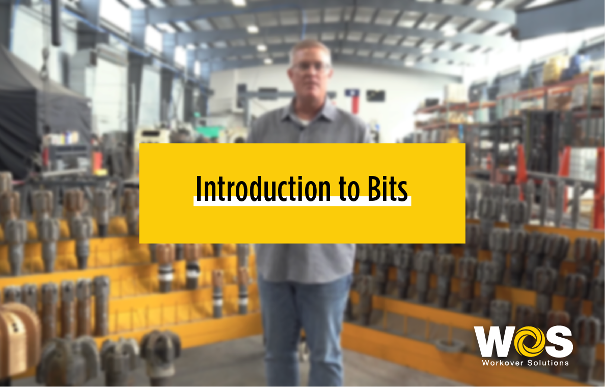 Introduction to Bits